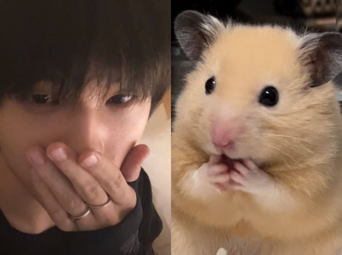 짓푸라기 tweet media