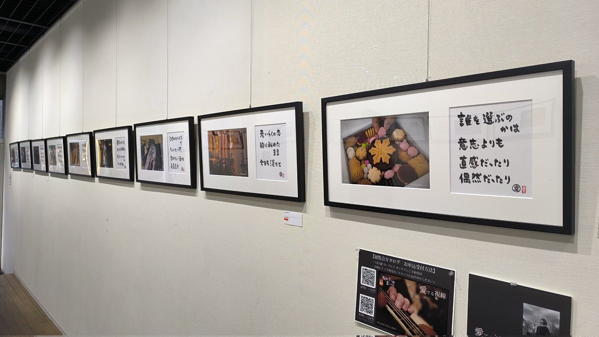 Island Gallery tweet media
