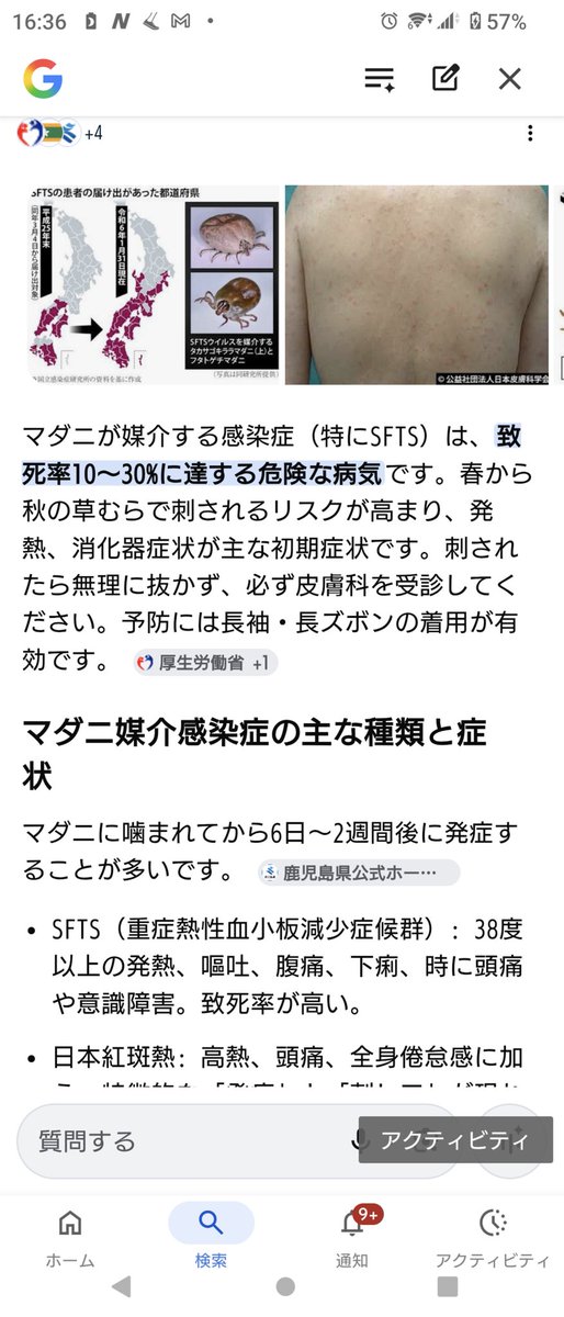 yugo🍄 tweet media