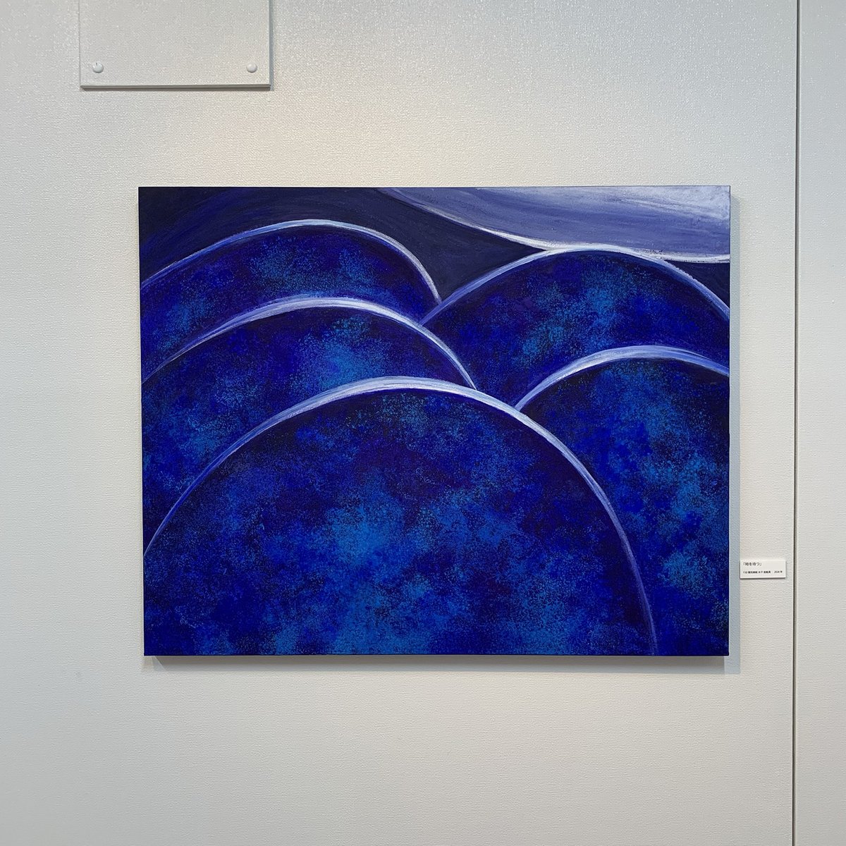 Oギャラリー O gallery tweet media