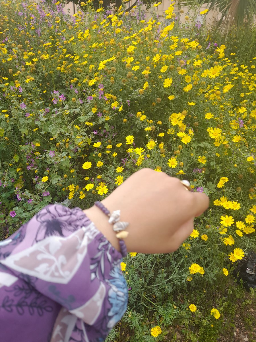 HiBa tweet media