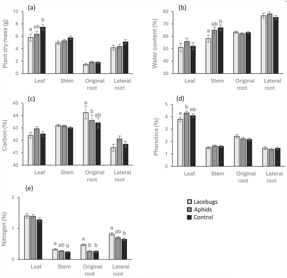 PopulationEcol's tweet photo. Effects of Insect Herbivores With Different Feeding Modes on the Exotic Plant Solidago altissima: Changes in Induced Responses and Resource Allocation

Ida Kollberg,  Noboru Katayama,  Takayuki Ohgushi
https://t.co/yoP2R5bqIy

Corythucha marmorata/ Uroleucon nigrotuberculatum https://t.co/sUfi1fA7JK
