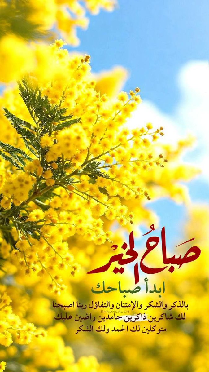 مترفة 🇸🇦نماصية ❤️ tweet media