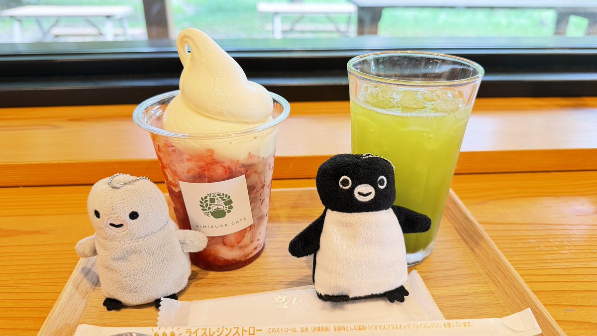 ねこすけさませんようです RED🍓 and GREEN🍵