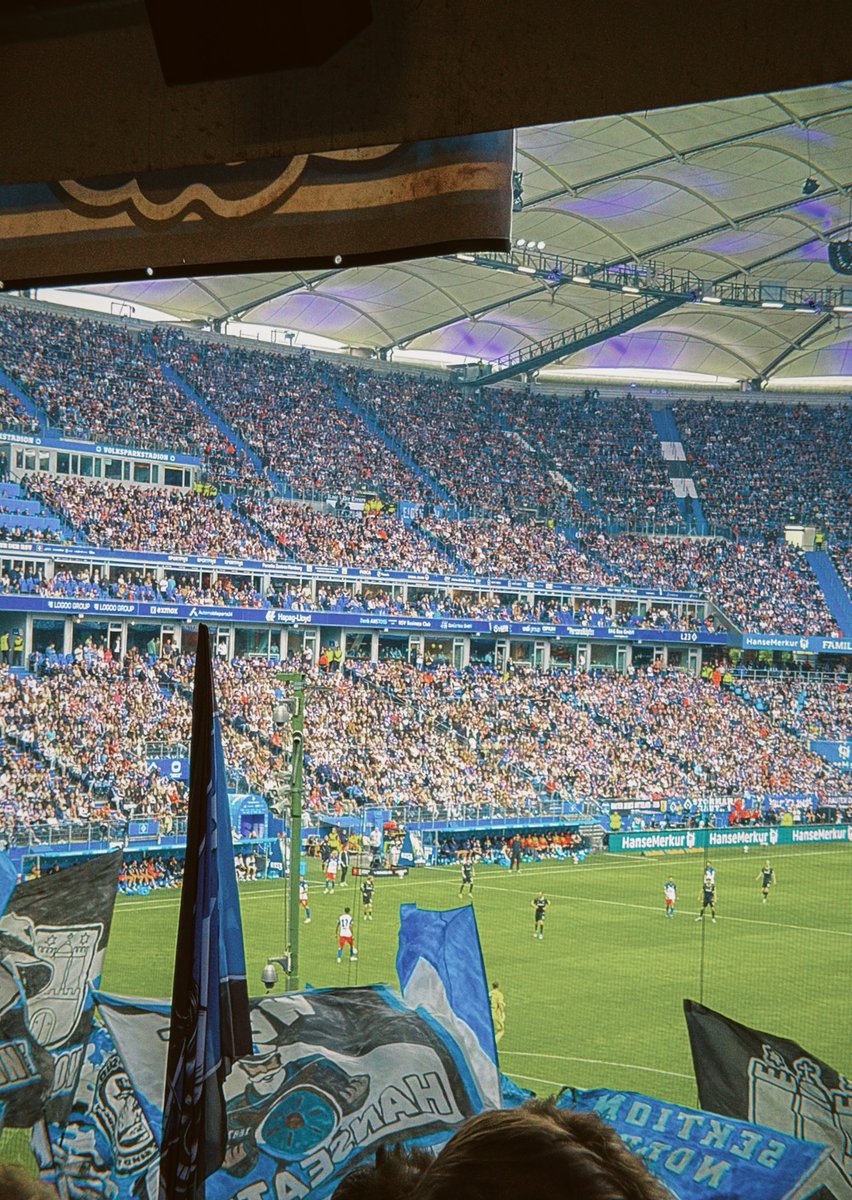 BlueSeagulls tweet media