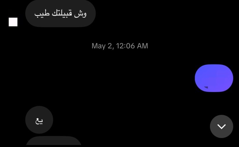 يوم هادئ tweet media