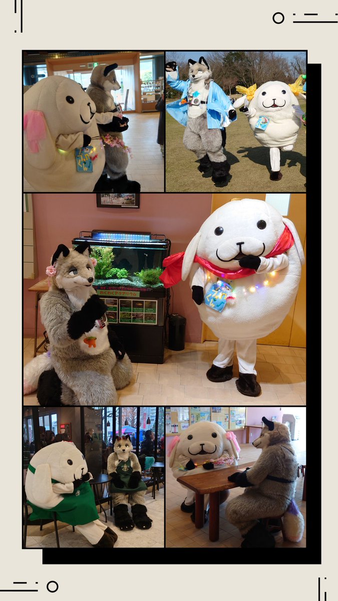 AQI@Hotate(あきちゃん) tweet media