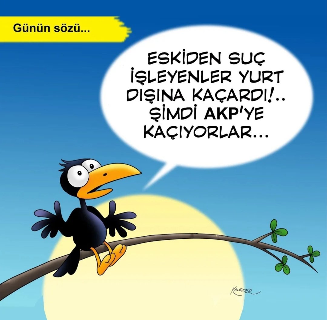 hülya balbay tweet media