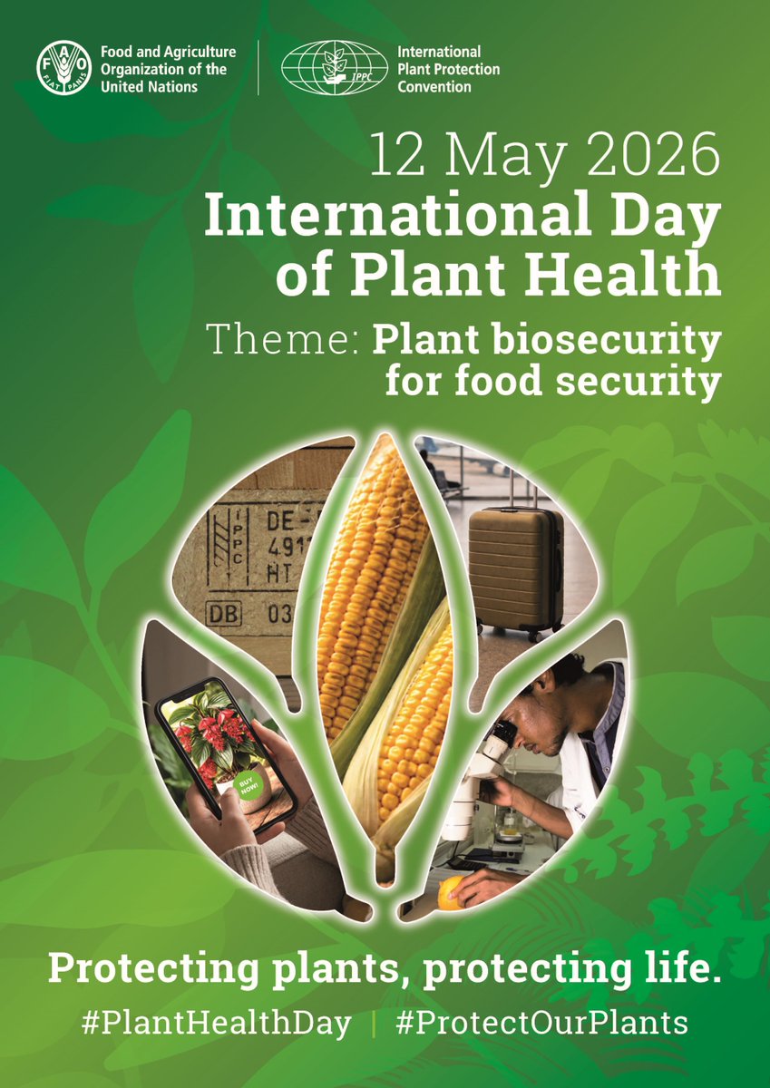 🌱5月12日は #国際植物防疫デー 🌏 私たちの命を支える大切な食料