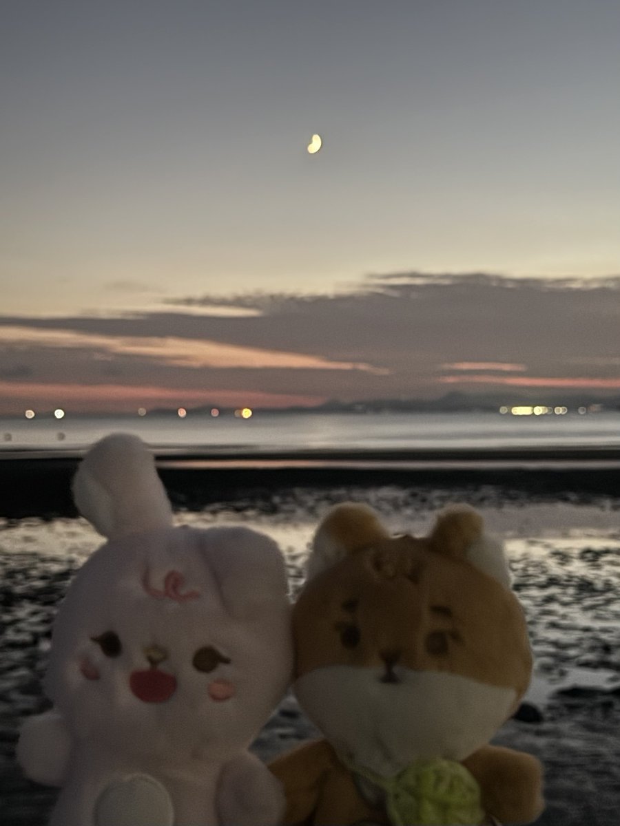 또띠.. tweet media