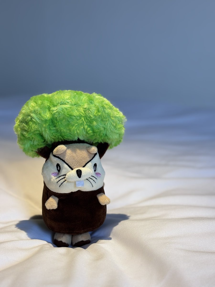 もものこじまのナッツくん|マスターウォール副部長 tweet media