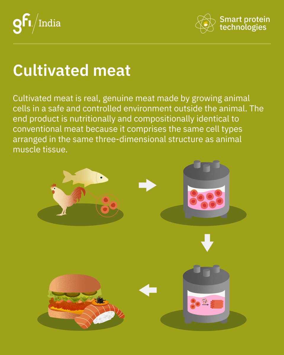 The Good Food Institute India tweet media