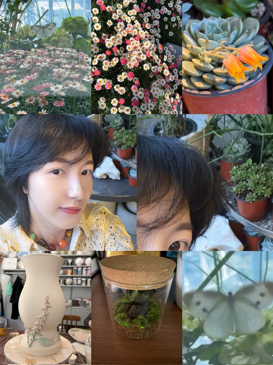 recent updates on renjun's magical place✨️🧚‍♀️