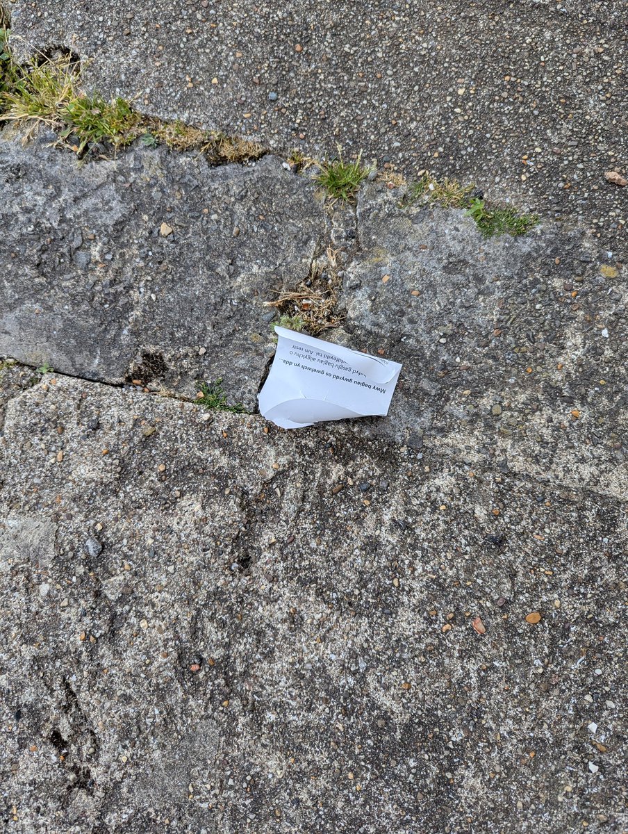 chrisr118's tweet photo. @Recycle4Swansea I am getting pissed off with your collection teams.  They have not only ignored my request for green bags, but have just thrown the request tag on the floor.  So  not only have they seen, they have decided to litter as well. https://t.co/qTZoGVpnD2