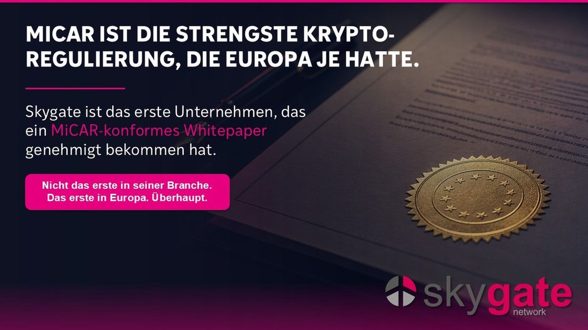 SKYGATE NETWORK tweet media