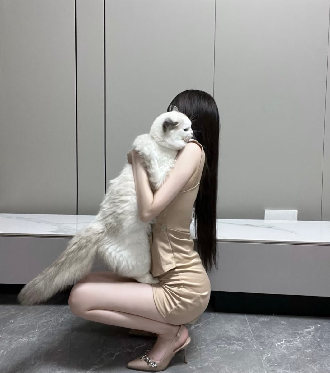 脾氣很壞 tweet media
