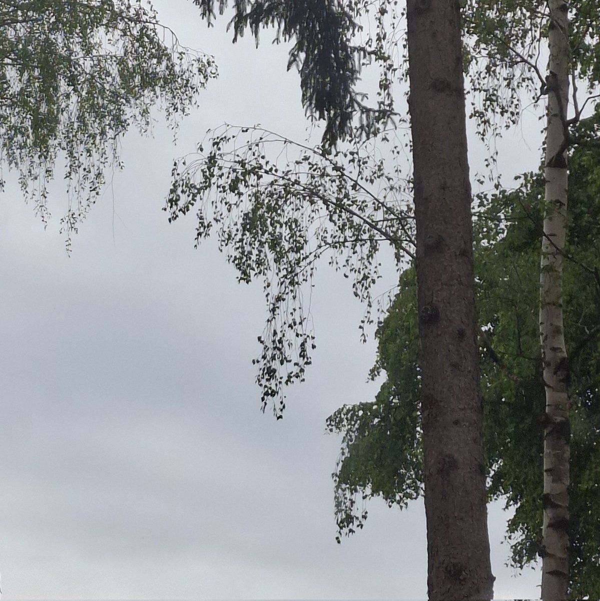ninkx_0's tweet photo. May 11 2026 9:51-9:52 today it was raining. People seem to be gloomy when it rains but i think the sky looks beautiful when it rains https://t.co/5zFMBouPfX