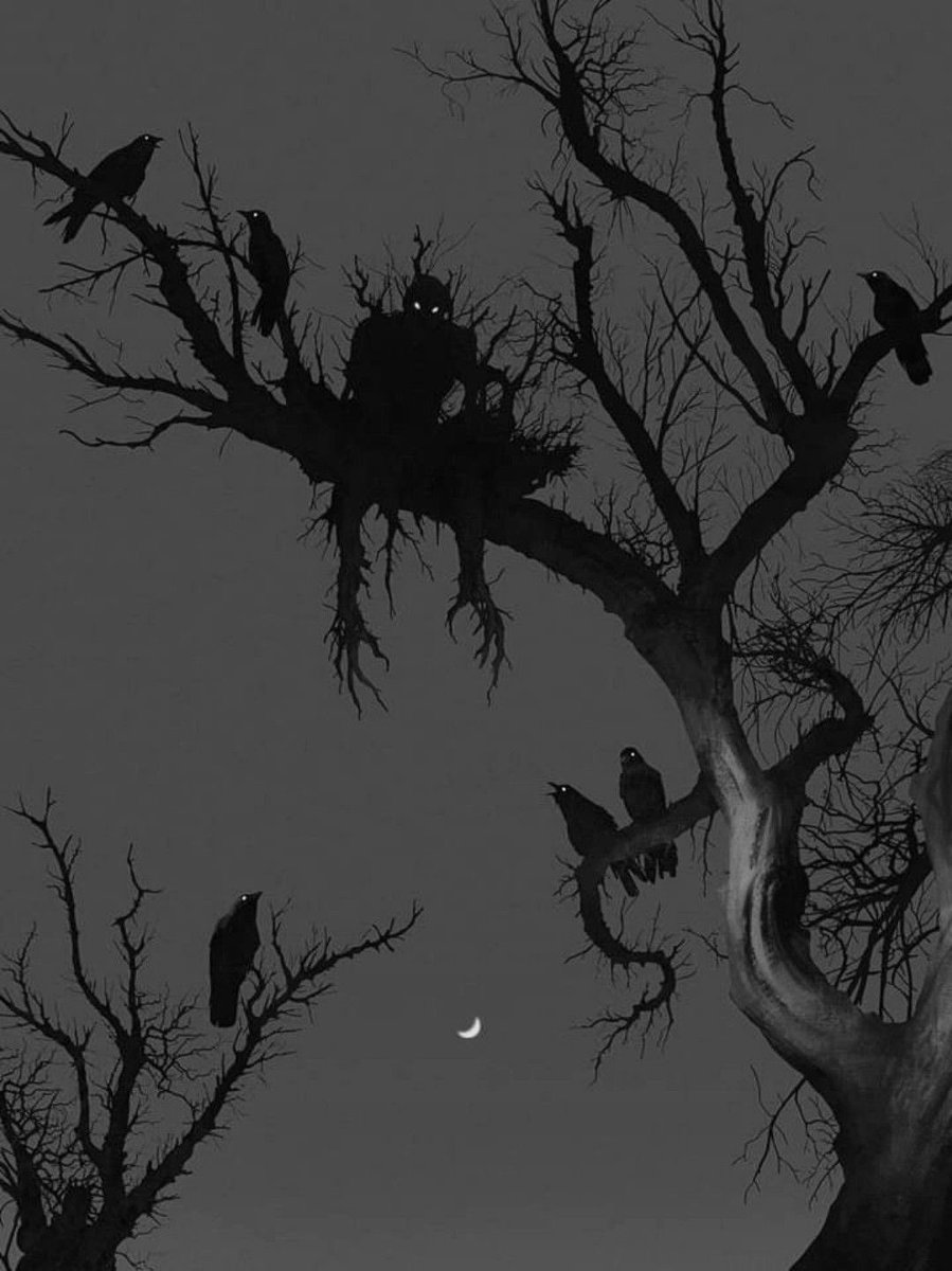 Black. tweet media