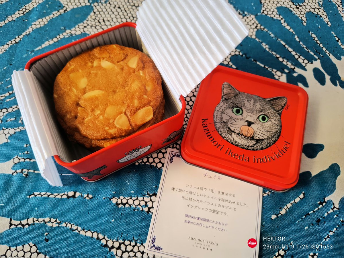 今頃だしとっくにたいらげたけどカズノリイケダの猫缶の中身