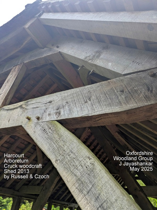 Oxfordshire Woodland Group tweet media