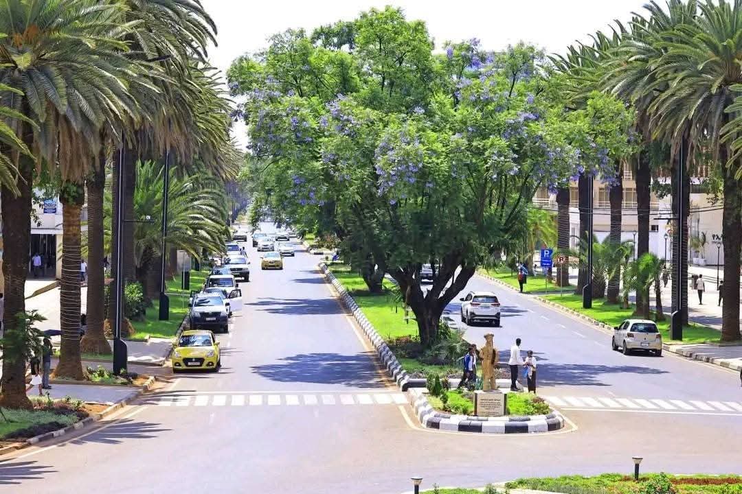 Amhara Communications tweet media