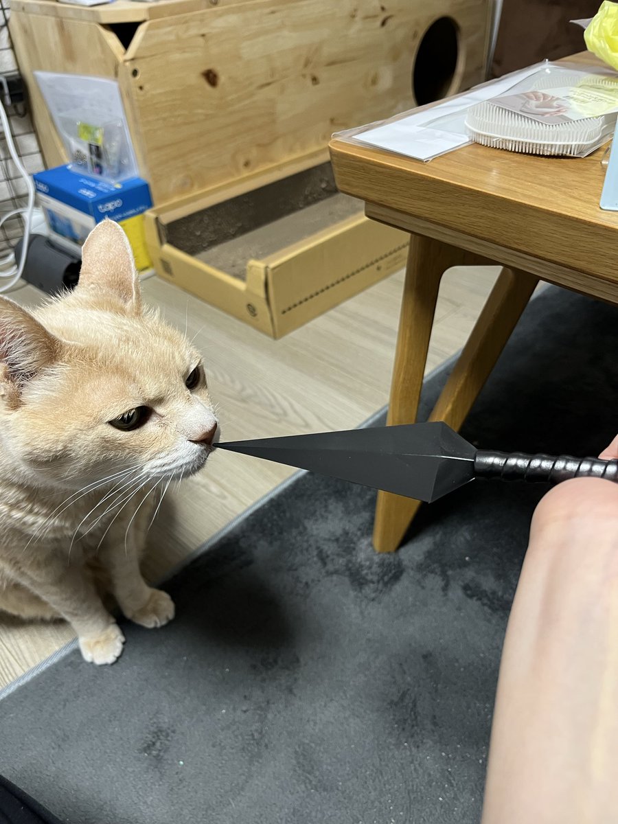 i_ariari's tweet photo. 初めてクナイと出会った15才の５月 https://t.co/1T2KpWwG8Y