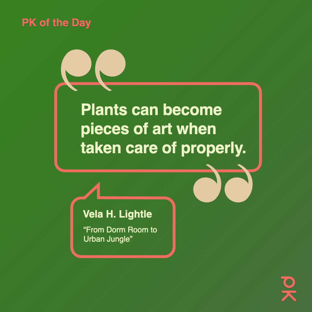 PechaKucha's tweet photo. Vela H. Lightle shares how a single houseplant purchase during college spiraled into a full-fledged indoor jungle of nearly 70 plants. 

https://t.co/LuaOEBZCXl

#PechaKucha #20x20 #Houseplants #PlantParent #IndoorJungle #PlantCommunity #UrbanJungle #Creativity #PlantLife https://t.co/UegqltjBjE