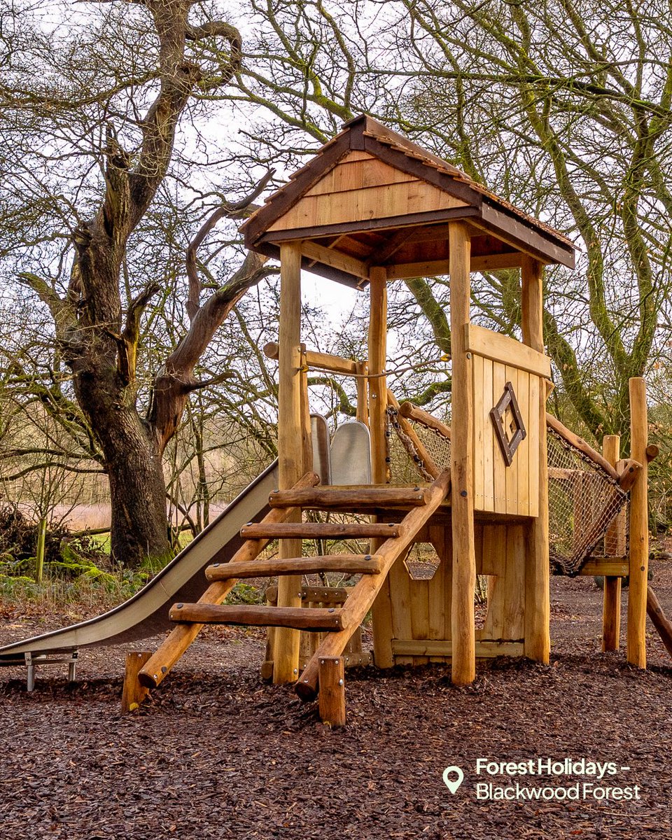 Precision Timber tweet media