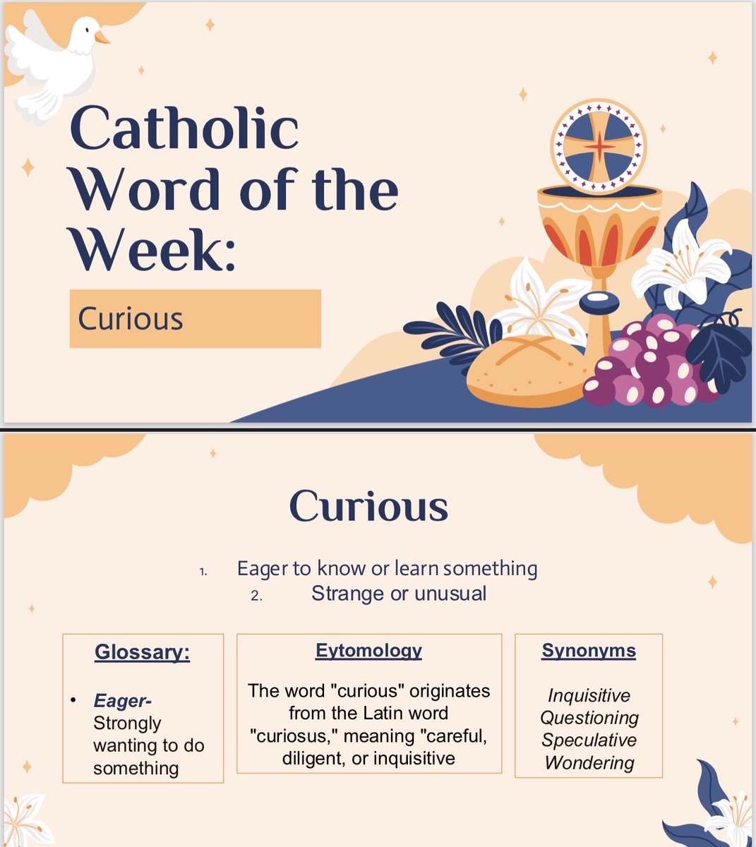 Holy Trinity Catholic School tweet media