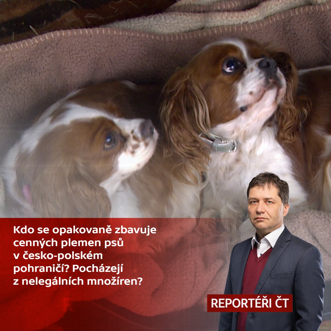 Reportéři ČT tweet media