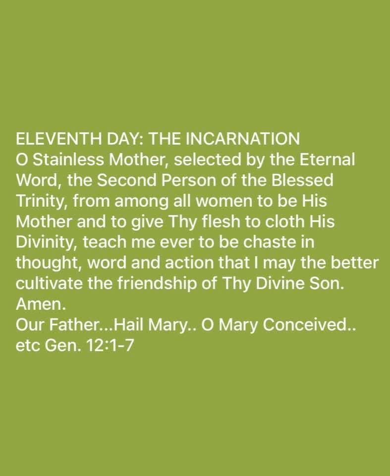 Eternal Word! tweet media