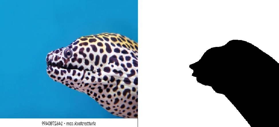 side profiles for drawing reference tweet media