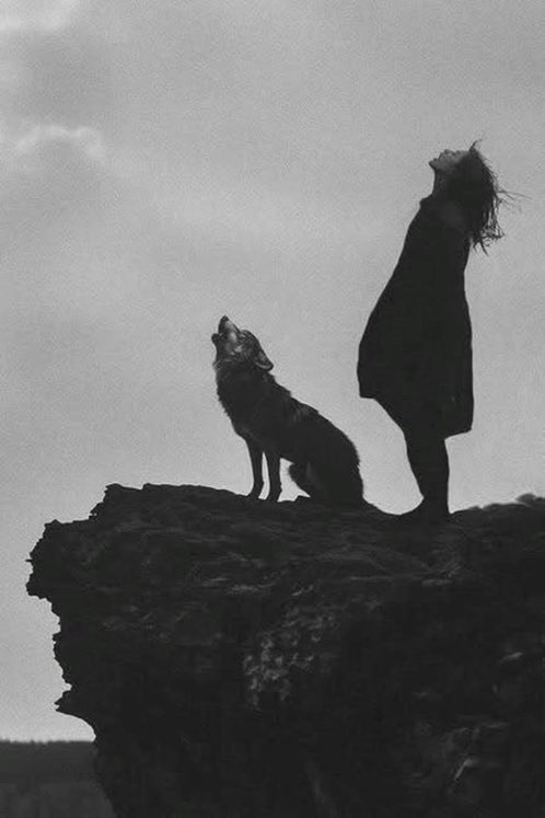 StillHopeful05's tweet photo. Listen to them, the children of the night. 
What music they make ! 

Bram Stoker https://t.co/WKWFrB2LRM
