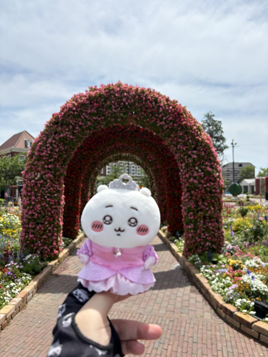 ym85380807's tweet photo. ちいちゃんとハウステンボス❤️ https://t.co/VojDcnfiFn