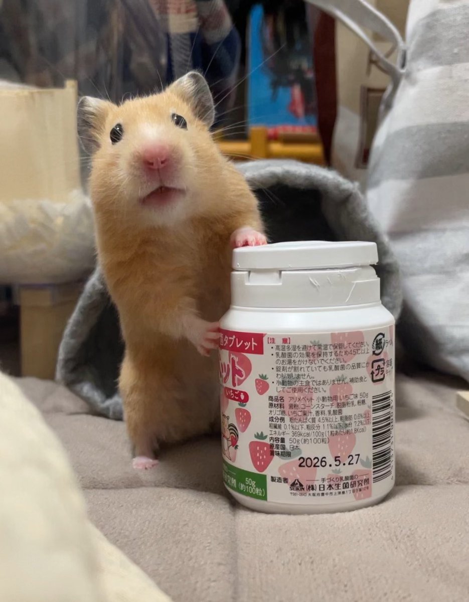 ふちゃま tweet media