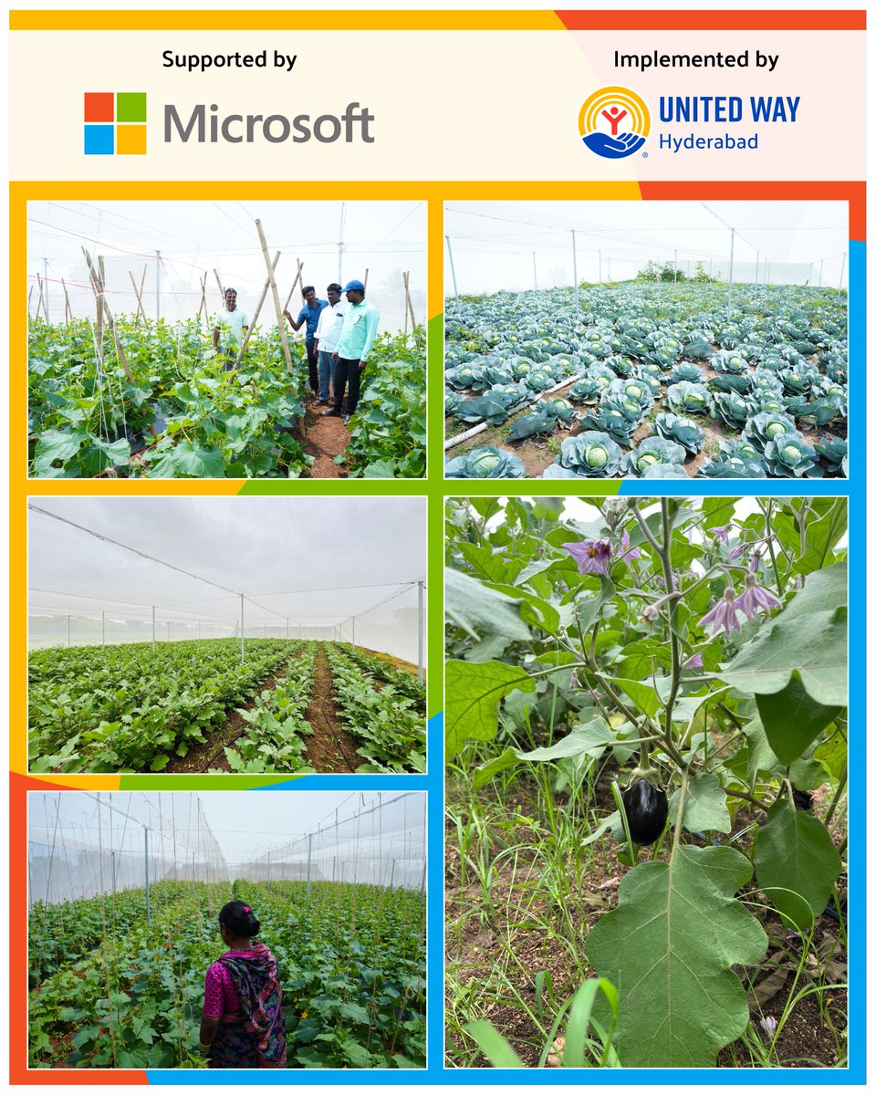 unitedwayhyd's tweet photo. In partnership with @MicrosoftIndia through its CSR initiative, we are empowering 15 farmer families in Chandenvalle &amp; Haithabad villages with ShadeNet infrastructure and sustainable farming practices.
Climate-smart solutions + capacity building = stronger rural livelihoods. https://t.co/4GRMilhOmt