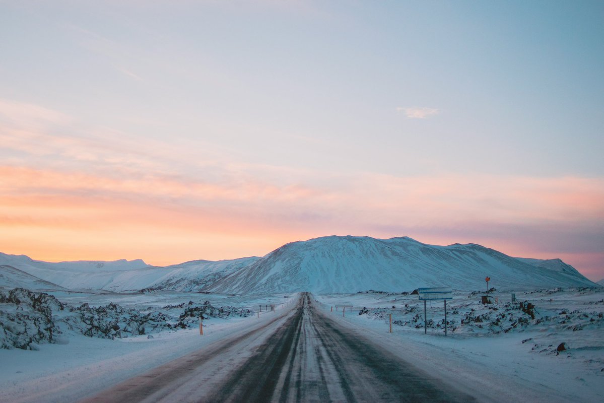 Iceland is the only country in the world with no mosquitoes 🦟