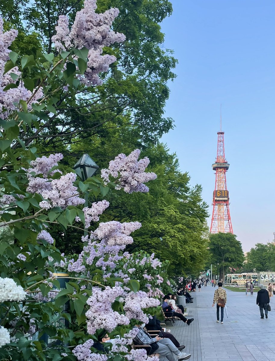 みゃーお｜旅と音楽 tweet media