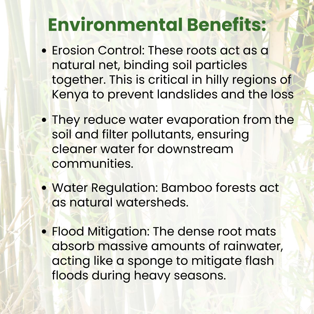 GreenBeltMovmnt's tweet photo. Bamboo is one of the world's fastest-growing plants! 
🎋We champion bamboo restoration to:
✅ Restore land
✅ Protect watersheds
✅ Absorb CO_2
✅ Support livelihoods 
Nature-based solutions are the key to a greener future. 🌍 #TeamGBM https://t.co/hdvtNwiNVK