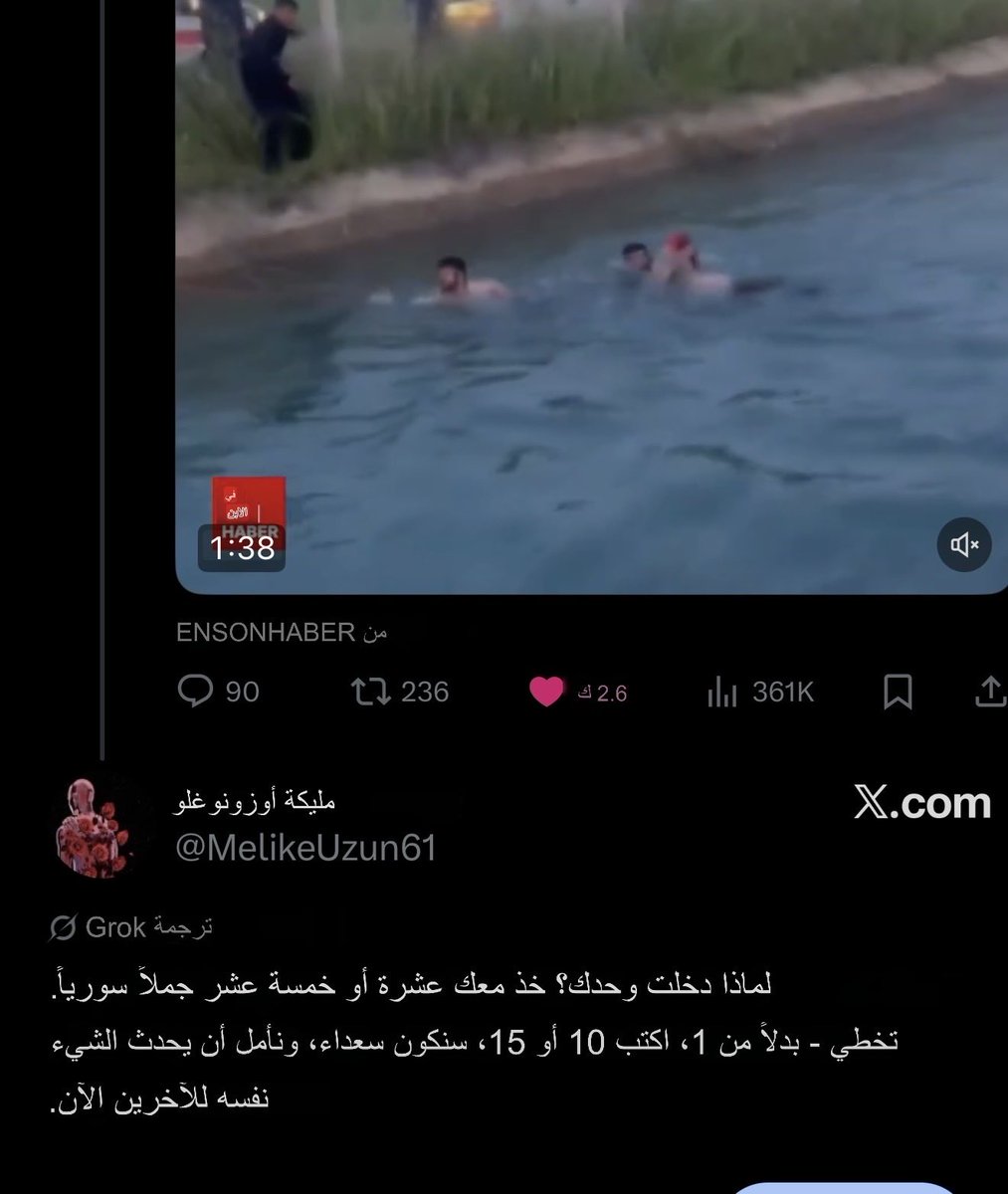 SyrianShen tweet media
