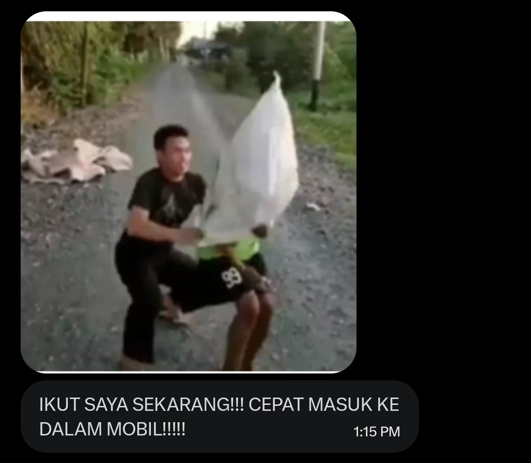 Wanderer tweet media