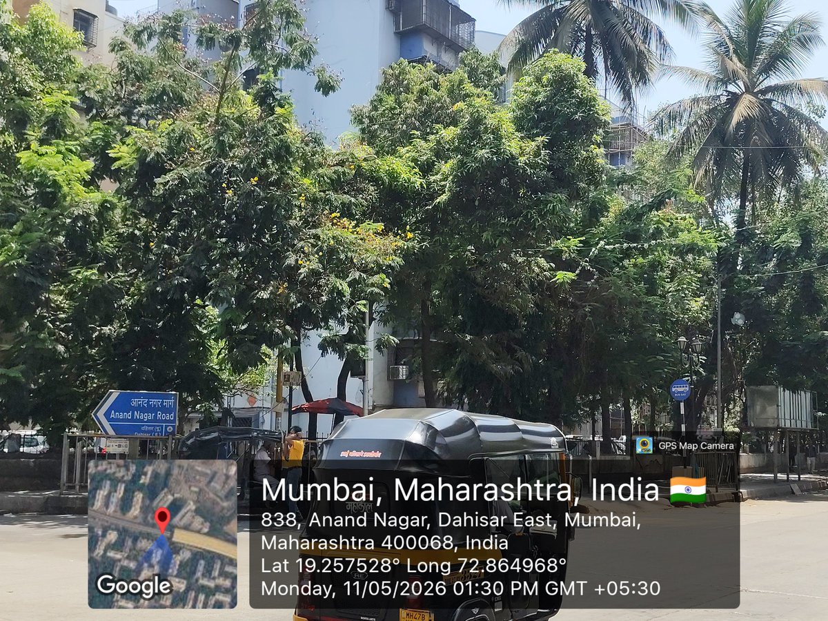 lalitpaddy's tweet photo. दहिसर पूर्व, Anand Nagar Metro Station खाली एका बाजूचा ट्रॅफिक सिग्नल बंद असून झाडाच्या फांद्यांमुळे ��िग्नल झाकला गेला आहे. संबंधित प्रशासनाने तात्काळ दखल घ्यावी. @mybmcWardRN
@MTPHereToHelp
#Dahisar #MumbaiTraffic #DahisarEast https://t.co/O6y4GOOpqd