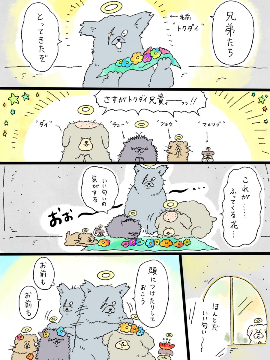 中山さん@イラストレーター×看護師 tweet media