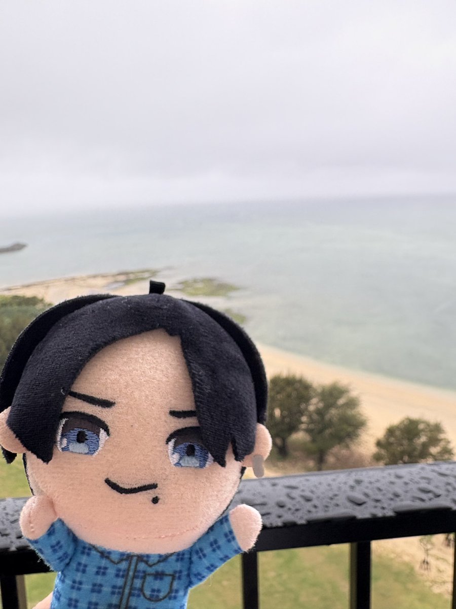 kiku8723's tweet photo. とぅーぴちゃん、ごらん
里帰りさせるために一緒に連れてきて、青い空青い海バックに写真を撮りたかったけど、梅雨入りした沖縄の海だよ https://t.co/HTU3F0cuvL