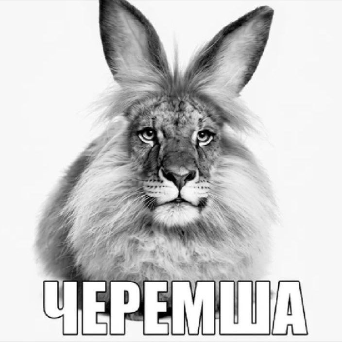 Эбигейл Хопс 🚺☦️♎️ tweet media