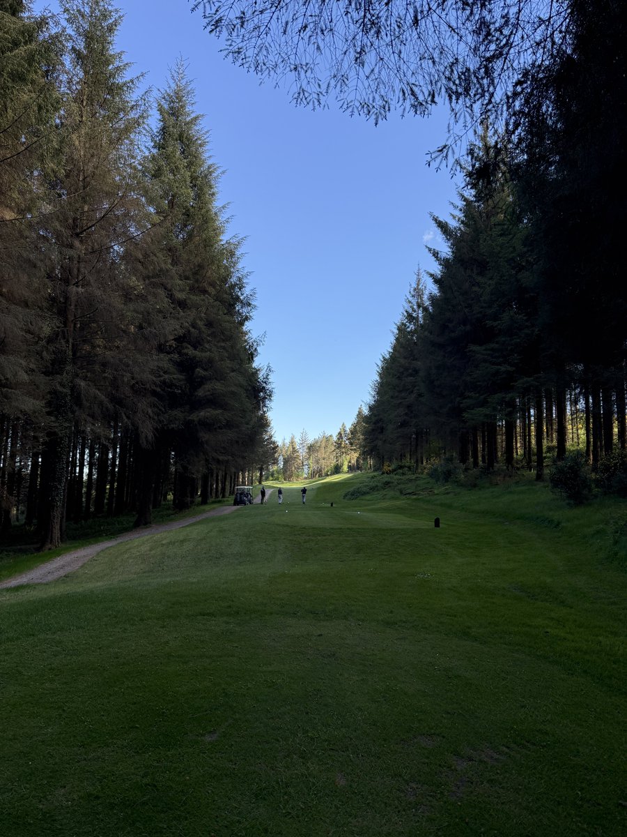 Open Golf Ireland (O.G.I.) tweet media
