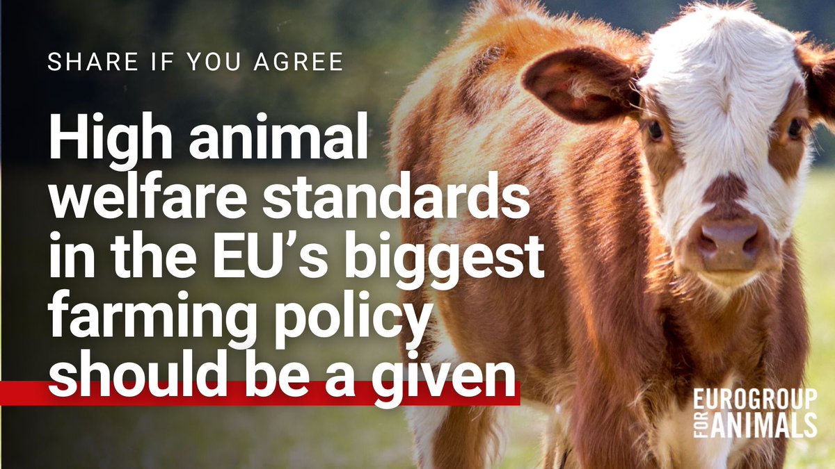 Eurogroup For Animals tweet media