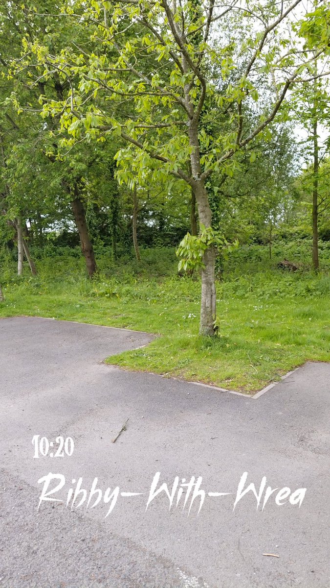 Callum291020's tweet photo. Ribby Hall Village https://t.co/rKiDXXGYID