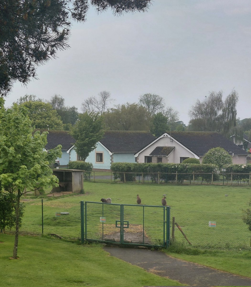 Callum291020's tweet photo. Ribby Hall Village https://t.co/rKiDXXGYID