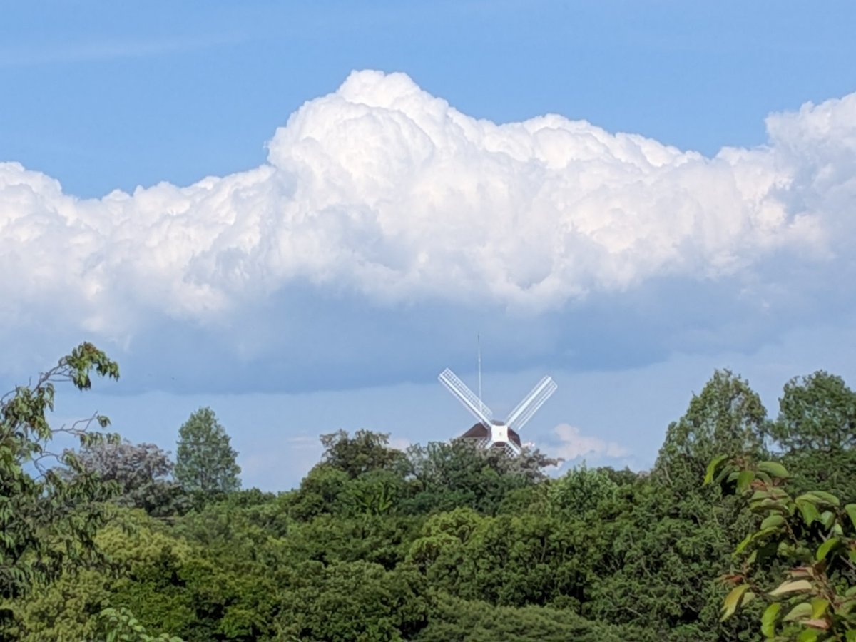 そろそろ、夏らしい雲が 出始めてますねー。